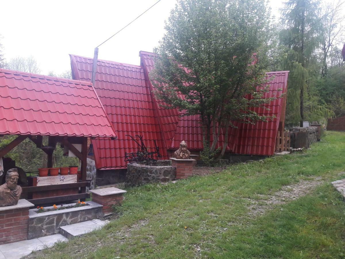 Casa Daos Nucşoara Exterior foto